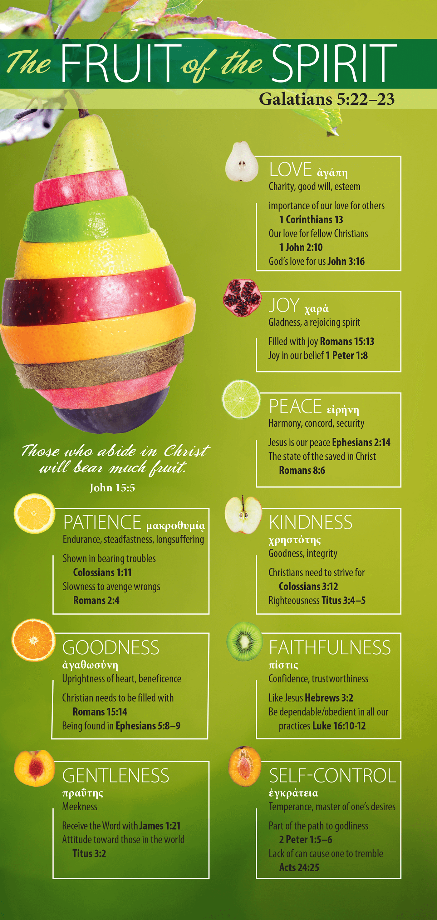 fruit-of-the-spirit-chart-to-remind-the-kids-of-each-fruit-good-for-hanging-in-classroom-or-on