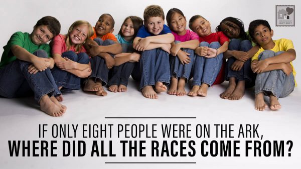 7 races of humans