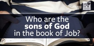 Who are the sons of God in the book of Job?